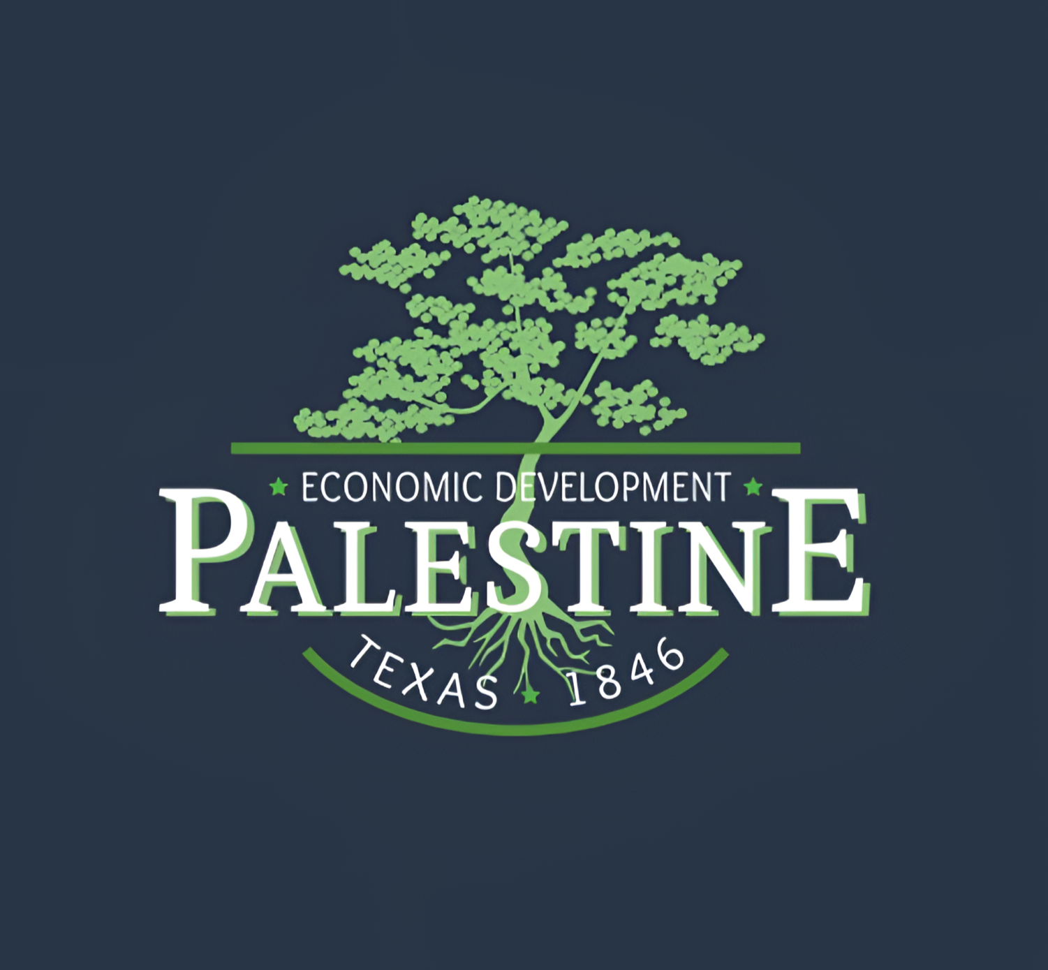 Palestine TX Economic Development Corporation