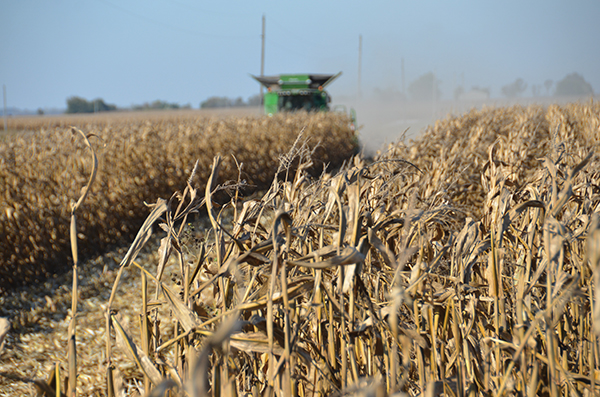 Shelby County. Image courtesy of Indiana Farm Bureau